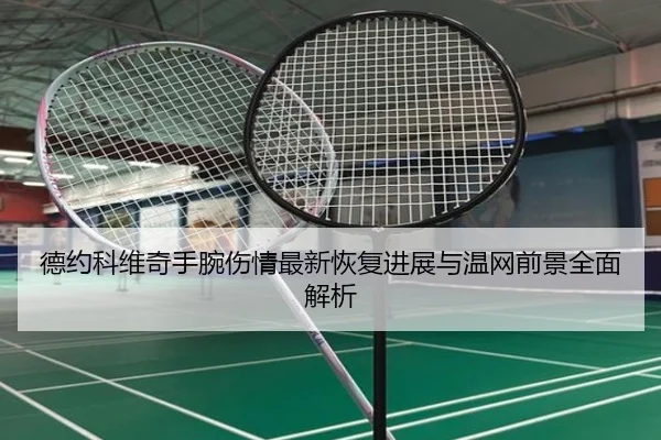 德约科维奇手腕伤情最新恢复进展与温网前景全面解析