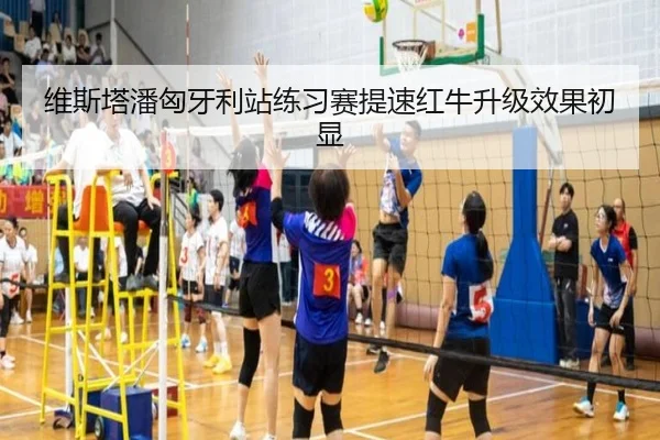 维斯塔潘匈牙利站练习赛提速红牛升级效果初显